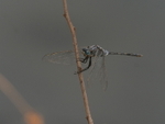 P1045951