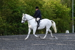 WJ5_8969