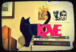 Cat-sitter-south-london