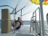 Stephen Parasailing