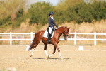 SBM_017629