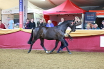 SBM_14951