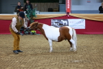 SBM_00288