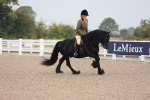 Class 302 Ridden M&M -Large Breeds portfolio