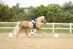 SBM_018507
