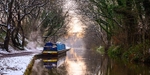 Between Bridges 29 and 30, Macclesfield Canal (7)