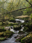 Middle Black Clough
