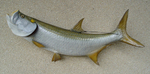 Machuca 64