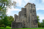Crookston Castle - DSC_4818