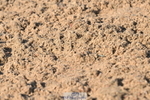 240509A-090135-00408