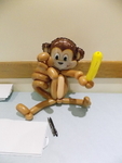 Mini Monkey