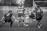 Guernsey Raiders v Barnes RFC_12-02-2022-36
