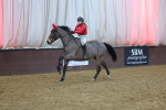SBM_004563