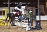 BPP_8379