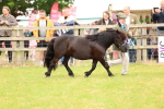 SBM_03545