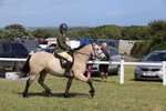 Class 38: NPS Novice Ridden Small and Large Breeds portfolio