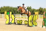 SBM_001312