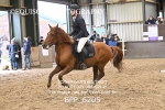 BPP_6205
