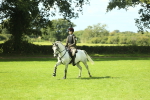 SBM_42952