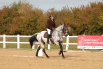 SBM_010437