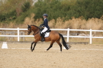 SBM_009706