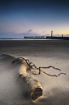 Adrift (Whitby)