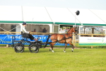 SBM_00246