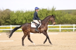 SBM_008029