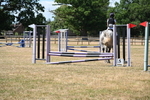 WJ6_5845