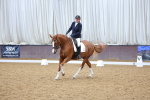 SBM_002173