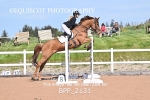 BPP_2131
