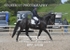 BPP_6548