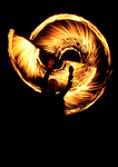Abstract portfolio