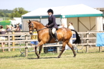 SBM_18014