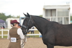 SBM_07873