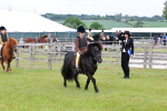 SBM_08562