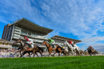 230923-Race 5-Vintage Clarets-3324