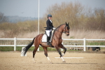 SBM_007298