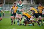 Guernsey Raiders v Hertford-12