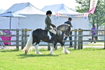SBM_11450