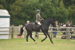 SBM_15934