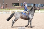 Tuesday August 5th Club and Schools - Click to Enter portfolio