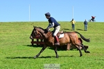O-711-William.Fox-Pitt portfolio