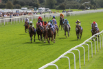 250823-Race 1-Marhaba The Champ-5747
