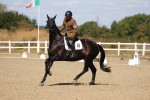 SBM_013640