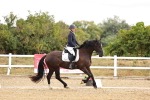 SBM_003306