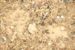 SBM_002136