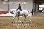 BPP_1731