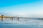 Misty Morning