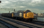 8th March 1988